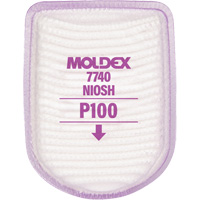 Semi-Rectangular Respirator Filter, Particulate Filter, P100 Filter Cantin et fils