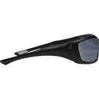 Robson Safety Glasses with Gasket, Silver Mirror Lens, Anti-Scratch/Polarized, ANSI Z87+/MCEPS GL-PD 10-12/Meets/Exceeds CSA Z94.3 Cantin et fils