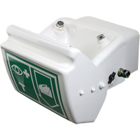 Eye/Face Wash, Wall-Mount Installation, Plastic Bowl Cantin et fils