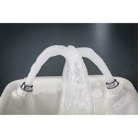 Eye/Face Wash, Wall-Mount Installation, Plastic Bowl Cantin et fils
