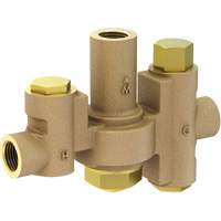 Mid-Capacity Thermostatic Mixing Valve for Individual Eye/Face Wash Stations, 2 - 35.1 GPM Cantin et fils