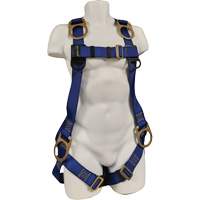 ECO Safety Harness, CSA Certified, Class AEP, 352 lbs. Cap. Cantin et fils