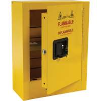 Armoire de s&eacute;curit&eacute; miniature pour produits inflammables, 2 gal., 1 Porte(s), 17" La x 22" h x 8" p Cantin et fils