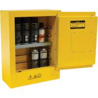 Armoire de s&eacute;curit&eacute; miniature pour produits inflammables, 2 gal., 1 Porte(s), 17" La x 22" h x 8" p Cantin et fils