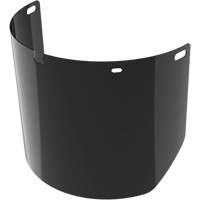 Uncoated Full Face Shield Replacement Lens, Polycarbonate, 5.0 Tint Cantin et fils