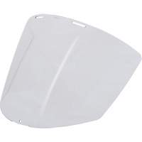 Visi&egrave;re transparente Cantin et fils