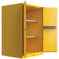 Utili-Guard+ Flammable Safety Cabinet, 45 gal., 2 Door, 43" W x 65" H x 22" D Cantin et fils
