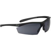 Sentinel Ballistic Protection Safety Glasses, Smoke Lens, Anti-Fog/Anti-Scratch, ANSI Z87+ Cantin et fils