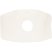 Filtre de rechange North, Filtre contre les particules, Filtre N99 Cantin et fils