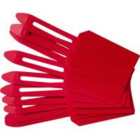 &eacute;tiquettes de cadenassage vierges en plastique, Plastique, 3-1/4" la x 5-4/5" h, Vierge Cantin et fils