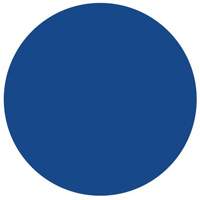Round Write-On Labels, Circle, 1.5" L x 1.5" W, Blue Cantin et fils
