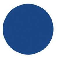 Round Write-On Labels, Circle, 3" L x 3" W, Blue Cantin et fils