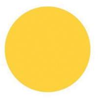 Round Write-On Labels, Circle, 3" L x 3" W, Yellow Cantin et fils