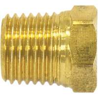 Bouchon de tuyau (t&ecirc;te hexagonale), 1/2" dia., Laiton Cantin et fils