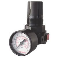Mini Regulators, 1/4" NPT, 165 PSI Max. PSI, Modular Cantin et fils