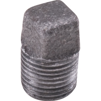 Plug Square Head Cored Cantin et fils