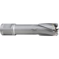 Annular Cutters