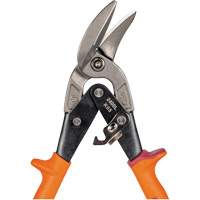 Compound Action Snips Cantin et fils