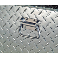 R&eacute;servoir de transfert pour carburant & coffre en aluminium, Aluminium, Capacit&eacute; 74 gal., Argent Cantin et fils