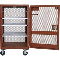 Armoire mobile en treillis, Acier, 22 pi³, Rouge Cantin et fils