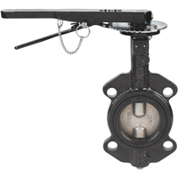 Robinets &agrave; papillon - s&eacute;rie BFV, Tuyau de 2", 225 PSI Cantin et fils