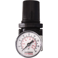 Regulators, 1/4" NPT, 150 PSI Max. PSI, Modular Cantin et fils