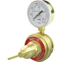 D&eacute;tendeur de conduit &agrave; usage moyen &agrave; intensif, Propane, Entr&eacute;e Orifice 1/4" NPT(F) Cantin et fils