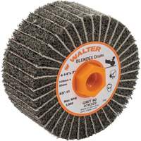 Tambours de finition Two-In-One ALLSTEEL, 4-1/4" dia. x 2" la, 5/8"-11 Arbre, Grain 80 Cantin et fils