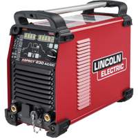 Aspect&reg; 230 AC/DC TIG Welder Cantin et fils