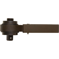 Multiplicateur de couple, 1/2" Couple d'entr&eacute;e, 1" Couple de sortie, 18,5:1 Ratio Cantin et fils