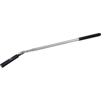Outil de ramassage t&eacute;lescopique, Longueur de 26-1/2", Diam&egrave;tre de 5/8", Capacit&eacute; de 6,5 lb Cantin et fils