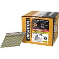 28° Angled Framing Nails Cantin et fils