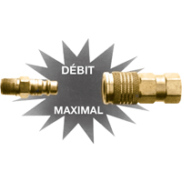 Ultraflo Interchange Plugs, 1/4" Cantin et fils
