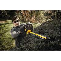 Taille-haie sans fil Max, 22", 20 V, &agrave; pile Cantin et fils