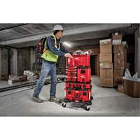 Packout Compact Tool Box, 10" x 16-1/5" x 13", Black/Red Cantin et fils