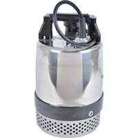 FLS/FS Series Utility Pump, 1 HP, 80 GPM, 115 V, 10 A Cantin et fils