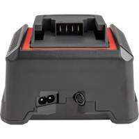 Chargeur de batterie 2,5 Ah et 5,0 Ah, 120 V, Lithium-ion Cantin et fils