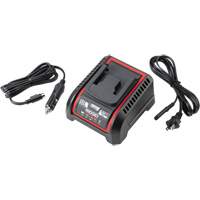 Chargeur de batterie 2,5 Ah et 5,0 Ah, 120 V, Lithium-ion Cantin et fils