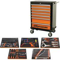Auto Mechanic Set with Rolling Cabinet Cantin et fils