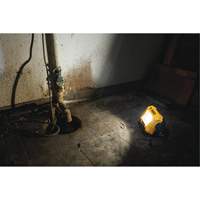 12V/20V Max Compact Task Light, LED, 2000 Lumens Cantin et fils