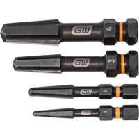 Bolt Biter Screw Extractor Set, High Speed Steel, 4 Pieces Cantin et fils