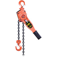 VLP Series Lever Chain Hoist, 10' Lift, 1653.46 lbs. (0.75 tons) Capacity Cantin et fils