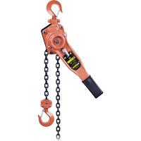 KLP-75-10 KLP Series Heavy-Duty Lever Chain Hoist, 10' Lift, 1500 lbs. (0.75 tons) Capacity Cantin et fils