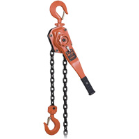 KLP-300L-5 KLP Series Heavy-Duty Lever Chain Hoist with Overload Protection, 5' Lift, 6000 lbs. (3 tons) Capacity Cantin et fils