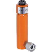 V&eacute;rins hydrauliques, Course de 3", Capacit&eacute; de 2 tonne(s) Cantin et fils