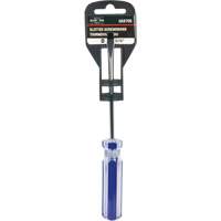 Tournevis &agrave; fente bleu transparent avec bandes, Tige de 3/16", Ronde, Prise en Plastique Cantin et fils