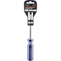 Tournevis &agrave; fente bleu transparent avec bandes, Tige de 1/4", Ronde, Prise en Plastique Cantin et fils
