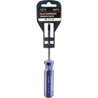Tournevis Philips bleu transparent avec bandes, #1, Prise Plastique Cantin et fils