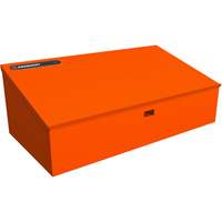 RAILWORKS Top Shelf Lockable Angled Workstation Cantin et fils