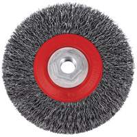 5C14T High Performance Crimped Wire Brush, 5" Dia., 0.014" Fill, 5/8"-11NC Arbor Cantin et fils